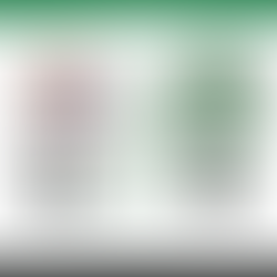 Field Hockey beats Olentangy Orange