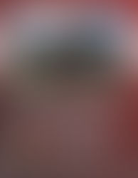 BOYS CROSS COUNTRY QUALIFIES FOR STATE