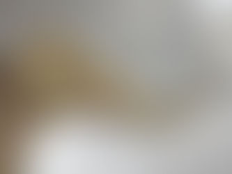 09/14  Ombre_Blanche