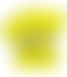 09/11 - Les Gilets jaunes