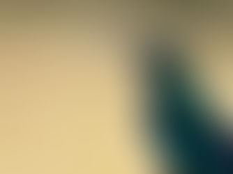 Kolumbien - Kolibris fotografieren am Nevado del Ruiz