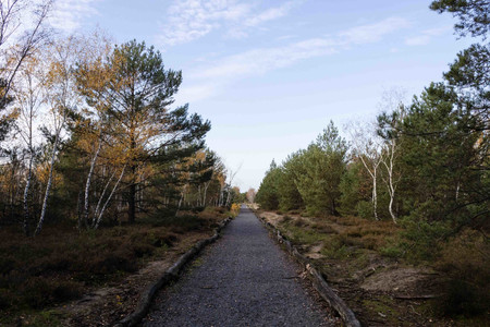 Weg zum Aussichtspunkt bei der Lieberoser Wüste