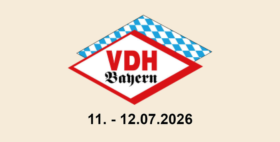 Internationale Rassehundeausstellung - Tag 1