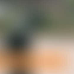 Laudo de Ruído: O que é e por que é Importante?