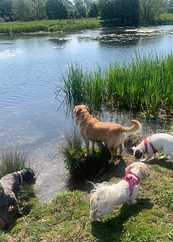 IMG_8819 (2).JPEG