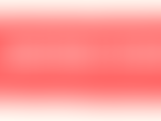 November 2020 Newsletter