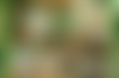 Connect, Serve and Grow for 8.26.19