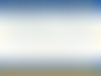 December 2021 Newsletter