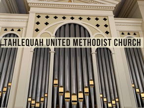 Pastoral Letter from Rev. Shana Dry