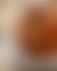 CHEESECAKE AL CARAMELLO SALATO