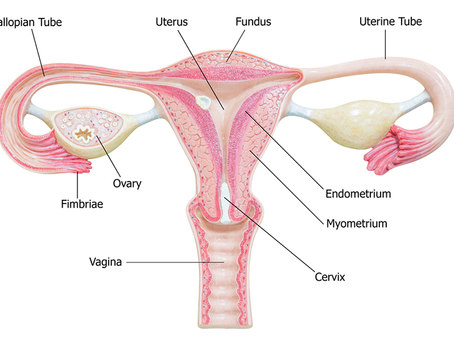 Empowering Hope: Ovarian Cancer Treatment at Guru Jambheshwar Hospital, Haryana