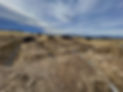 D039C656-F9B3-4E2E-8546-A4449763830C_edited.jpg