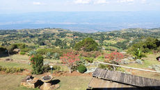 Why Iten is the Ultimate Runner's Destination