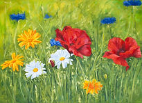 Meadow Copyright Happistuff Ltd 2024-4_edited_edited.jpg