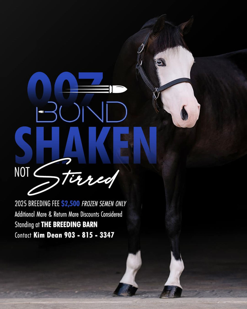 Print advertisement for Bond 007