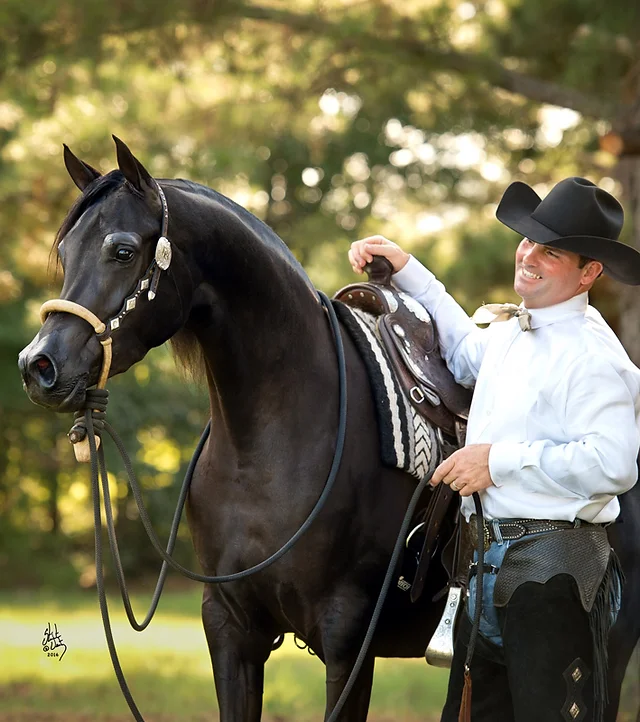 Dale Brown Performance Horses Inc Arabian Western Pleasure Rentz