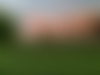 Why grass selection is a big question: