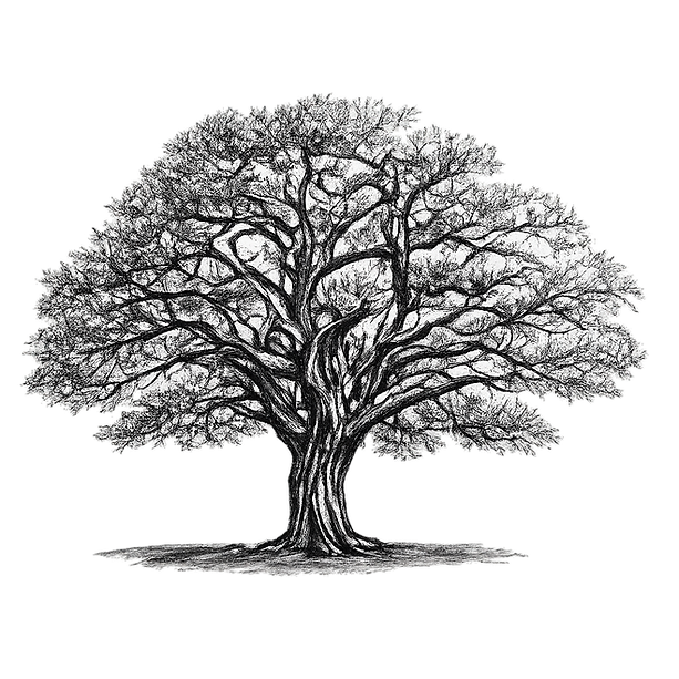 Oak Tree.png
