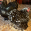 Thumbnail: 12 LF Mottled hatching eggs