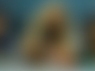 3 séries para assistir na Netflix