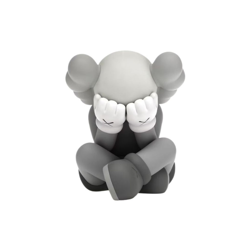 KAWS SEPARATED GREY