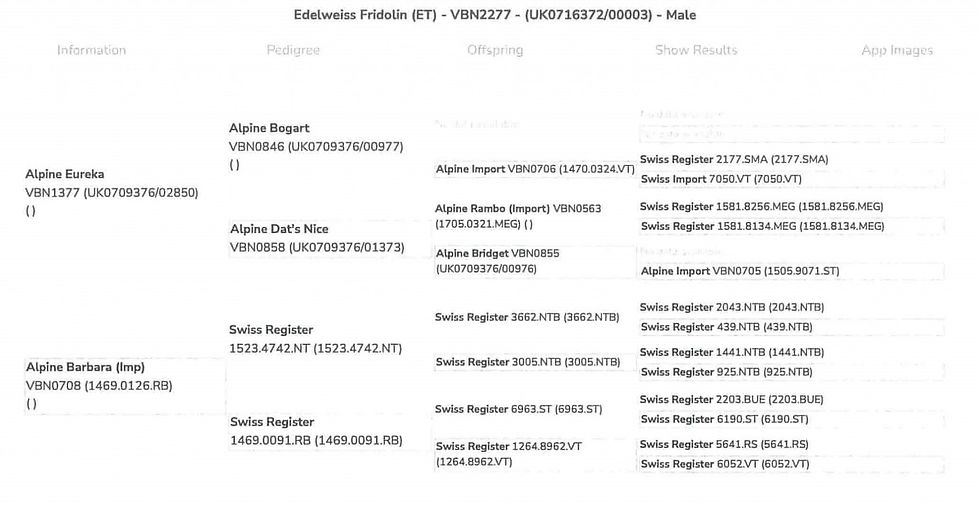 Pedigree-Fridolin-2048x1058.jpeg