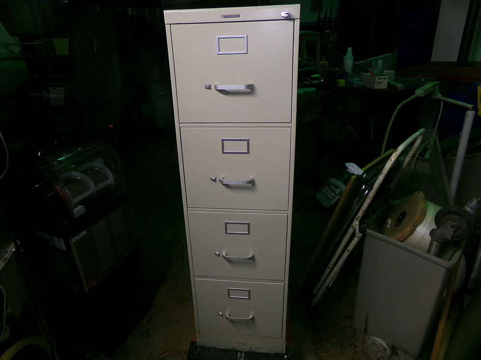 (2) ITEM #2132 ___ $100