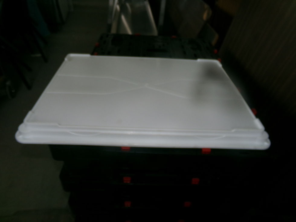 (4) ITEM #1460 ___ $5 EACH