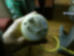 PLUG VIEW