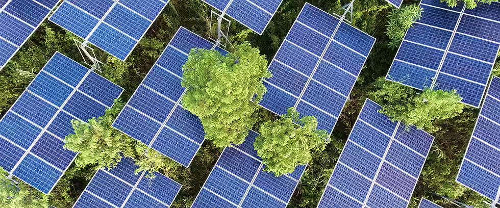 Green Steel / Carbon-Neutral / Sustainability / Social Responsibility / Carbon Footprint Steel Safety