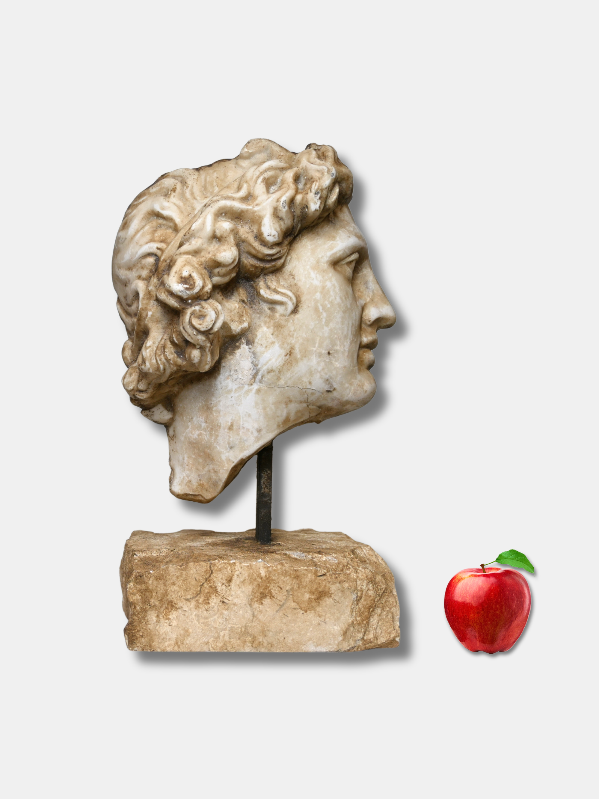20th C., Marble Dust Sculpture, Alexander the Great on Stone Base (Italian)