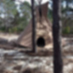 tipi