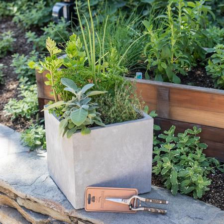 CONTAINER GARDENING WITH VEGETABLES