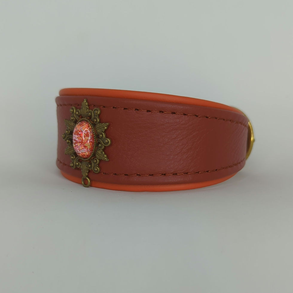 Rostrot auf gedecktem Orange 27-30cm Halsumfang