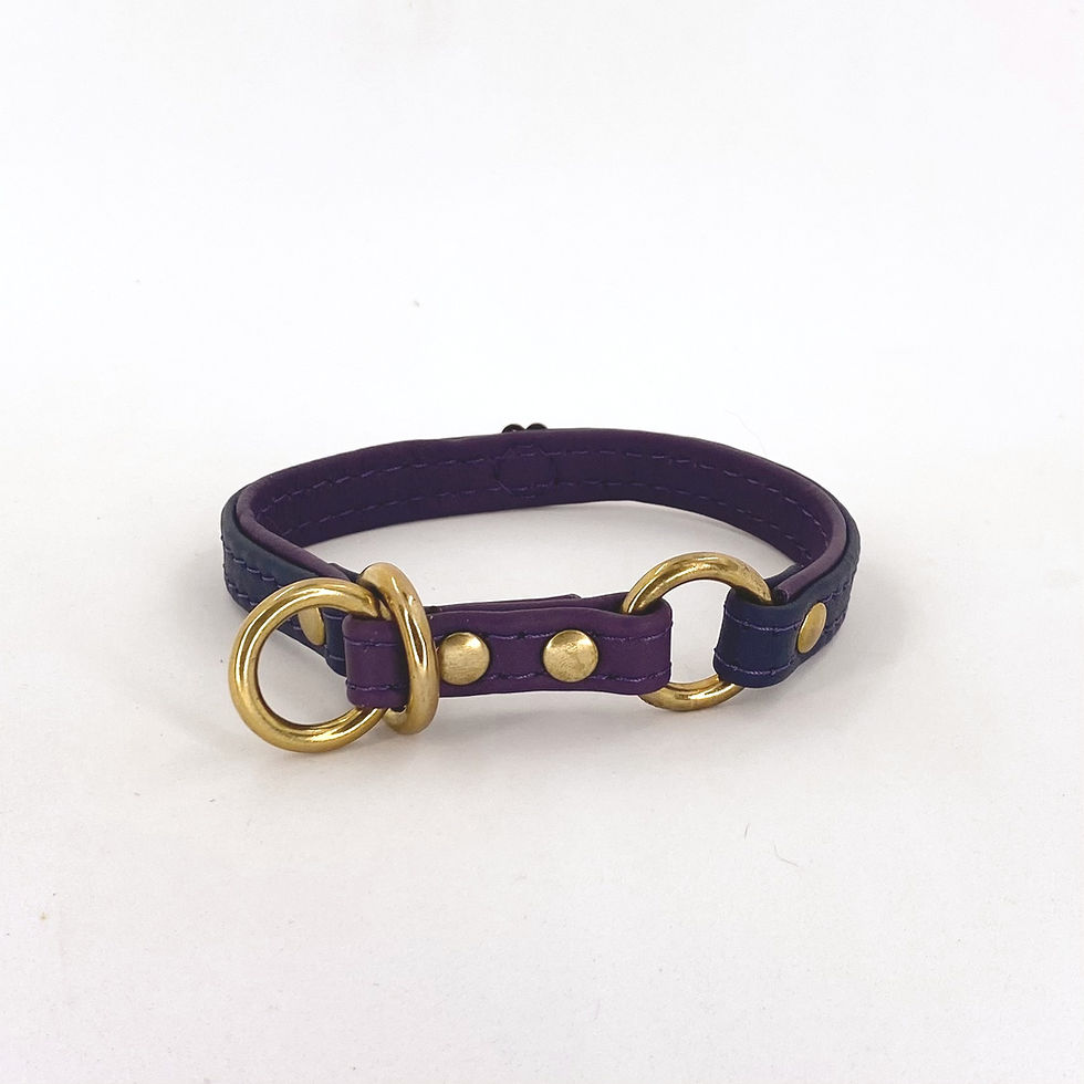 Miniaturbild: Zugstopp-Halsband Marineblau auf Veilchen 22,5cm HU, 25,5cm KU