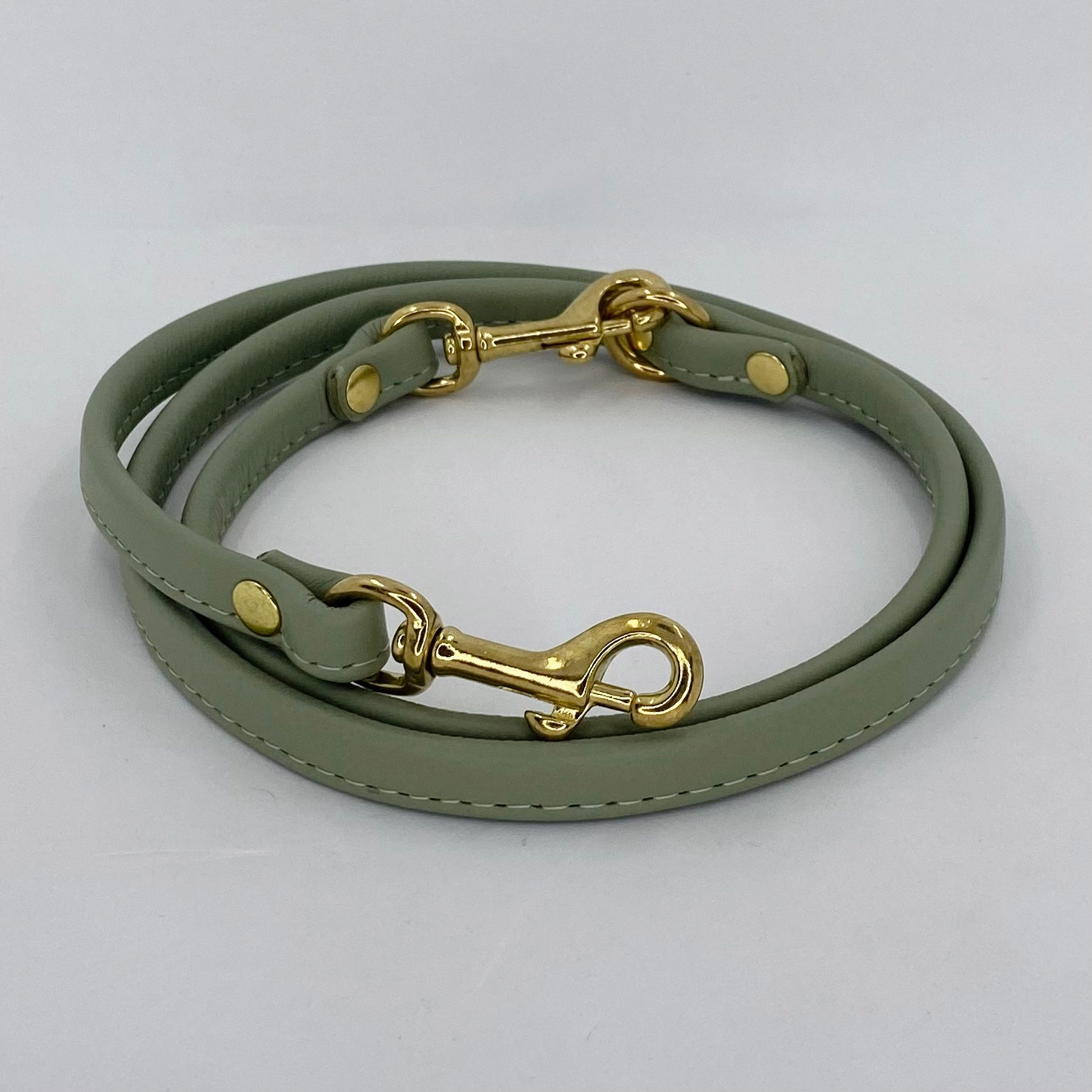 Leine 1m in hellem Lindgrün Breite M