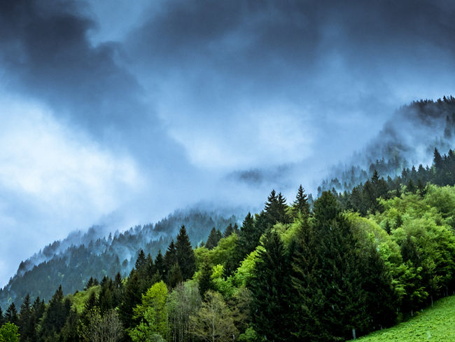 Historic buyback: Merzenich buys ghost village Bürgewald