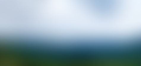 “The Panorama View”