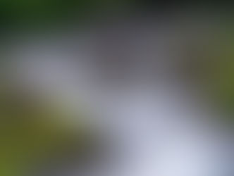 “Faith Downstream”