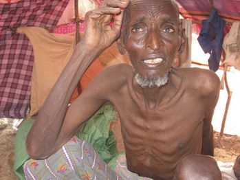 “Reduced to Starvation”