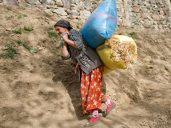 “I Did Not Collapse!”