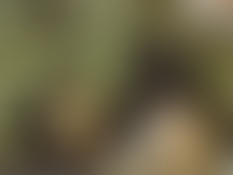 Інспектори Муніципальної варти надали допомогу непритомній жінці