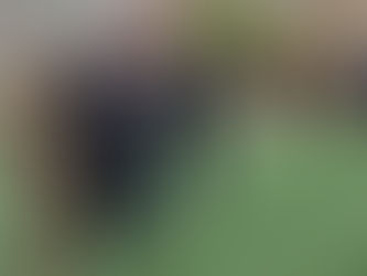 В Ірпені продовжують готувати цивільних до нацспротиву