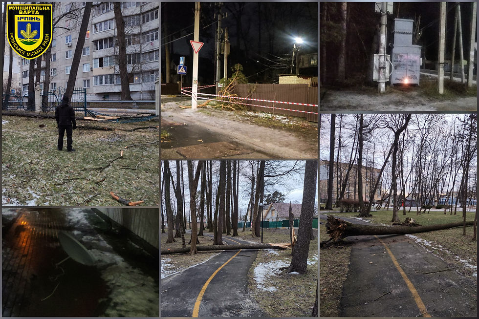 Негода, яка прийшла до Ірпеня 14-15 січня, принесла чимало шкоди