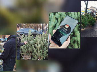 Муніципальна варта нагадує про відповідальність за незаконний продаж ялинок