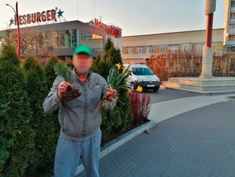 Зламав тую...на закуску до пива!