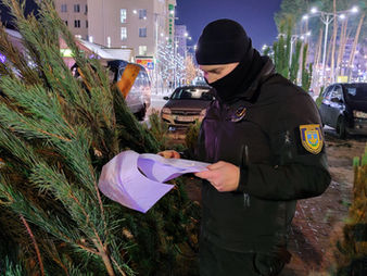 Муніципальна варта Ірпеня нагадує про відповідальність за незаконний продаж ялинок