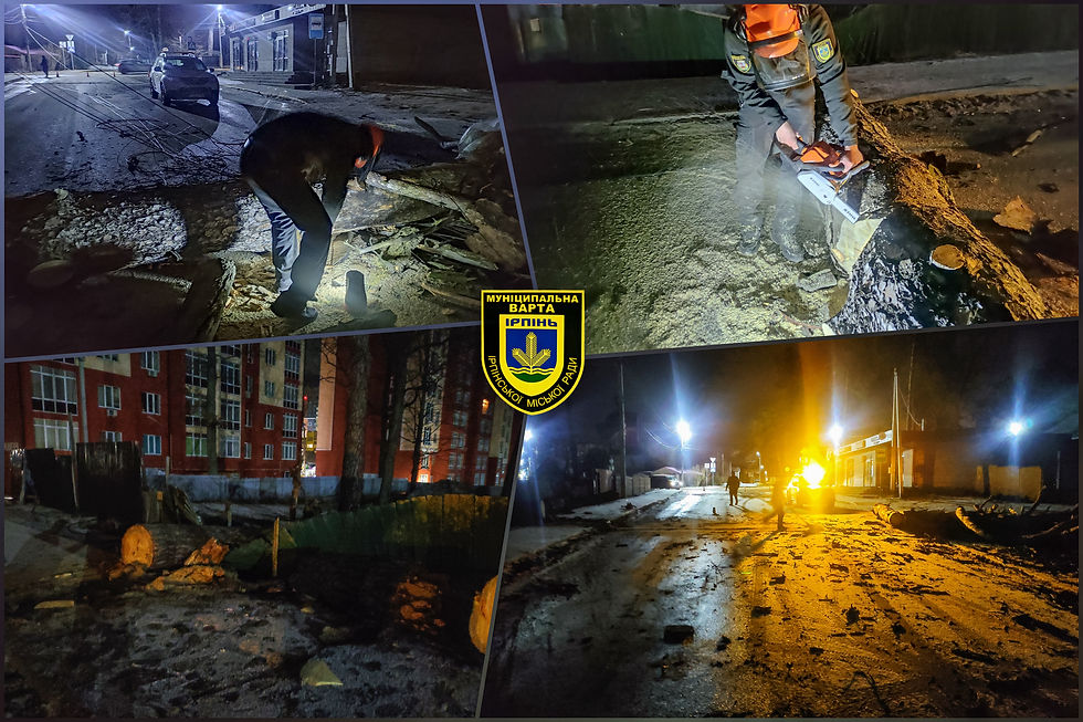 Знеструмлені вулиці та повалені дерева: Муніципальна варта допомагає ліквідовують наслідки негоди в Ірпені