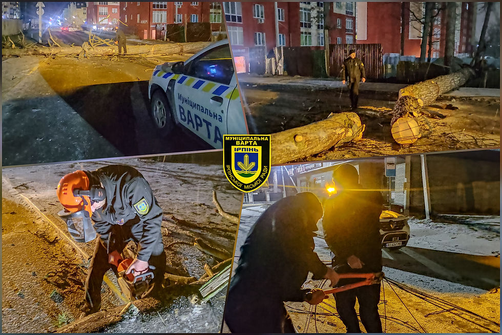 Вночі працівники "Муніципальної варти" Ірпеня розчищали шляхи від повалених дерев.