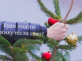 Куди здати новорічні дерева в Ірпені? Перелік адрес